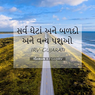 Picture 07 - ગીતશાસ્ત્ર 8:7 GUJIRV - સર્વ ઘેટાં અને - Bible Verse Picture