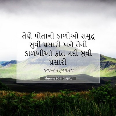 Picture 07 - ગીતશાસ્ત્ર 80:11 GUJIRV - તેણે પોતાની ડાળીઓ - Bible Verse Picture