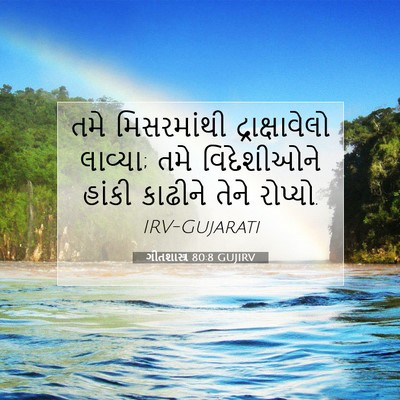 Picture 07 - ગીતશાસ્ત્ર 80:8 GUJIRV - તમે મિસરમાંથી - Bible Verse Picture