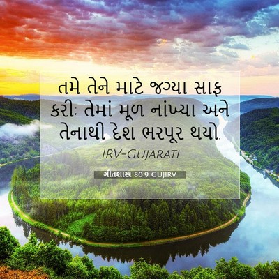 Picture 07 - ગીતશાસ્ત્ર 80:9 GUJIRV - તમે તેને માટે - Bible Verse Picture