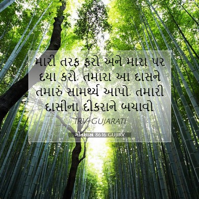 Picture 07 - ગીતશાસ્ત્ર 86:16 GUJIRV - મારી તરફ ફરો અને - Bible Verse Picture