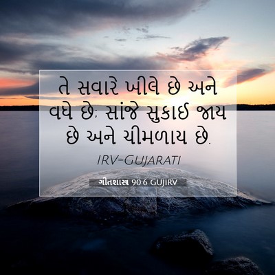 Picture 07 - ગીતશાસ્ત્ર 90:6 GUJIRV - તે સવારે ખીલે છે - Bible Verse Picture