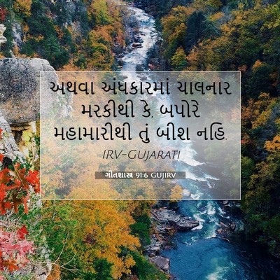 Picture 07 - ગીતશાસ્ત્ર 91:6 GUJIRV - અથવા અંધકારમાં - Bible Verse Picture