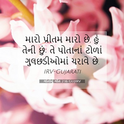 Picture 07 - ગીતોનું ગીત 2:16 GUJIRV - મારો પ્રીતમ મારો - Bible Verse Picture