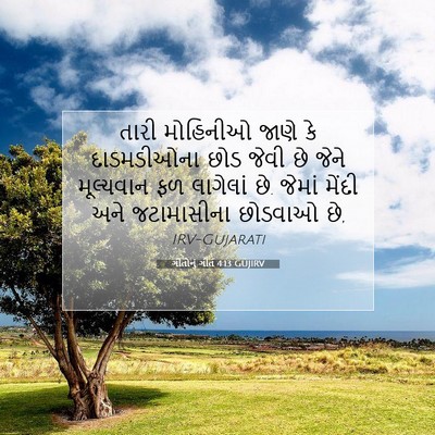 Picture 07 - ગીતોનું ગીત 4:13 GUJIRV - તારી મોહિનીઓ જાણે - Bible Verse Picture