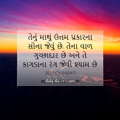 Picture 07 - ગીતોનું ગીત 5:11 GUJIRV - તેનું માથું ઉત્તમ - Bible Verse Picture