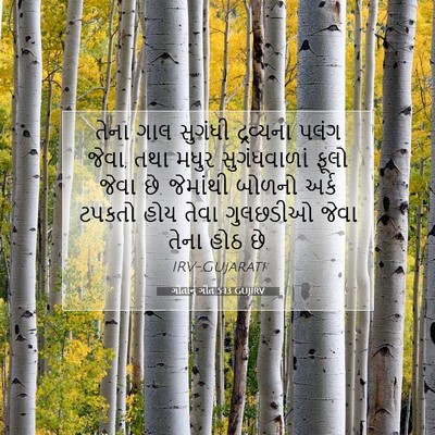 Picture 07 - ગીતોનું ગીત 5:13 GUJIRV - તેના ગાલ સુગંધી - Bible Verse Picture