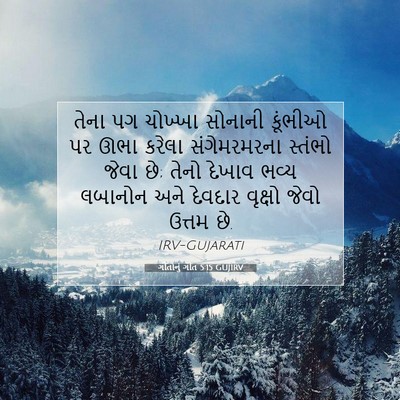 Picture 07 - ગીતોનું ગીત 5:15 GUJIRV - તેના પગ ચોખ્ખા - Bible Verse Picture