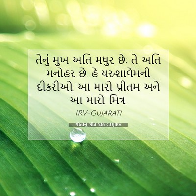 Picture 07 - ગીતોનું ગીત 5:16 GUJIRV - તેનું મુખ અતિ મધુર - Bible Verse Picture