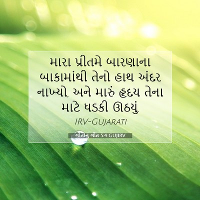 Picture 07 - ગીતોનું ગીત 5:4 GUJIRV - મારા પ્રીતમે - Bible Verse Picture