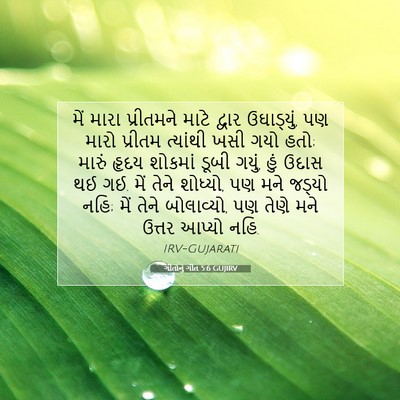 Picture 07 - ગીતોનું ગીત 5:6 GUJIRV - મેં મારા પ્રીતમને - Bible Verse Picture