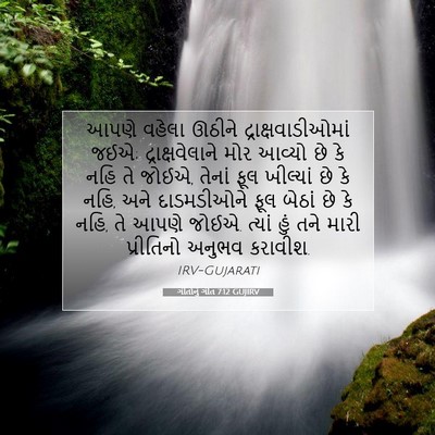 Picture 07 - ગીતોનું ગીત 7:12 GUJIRV - આપણે વહેલા ઊઠીને - Bible Verse Picture