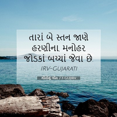 Picture 07 - ગીતોનું ગીત 7:3 GUJIRV - તારાં બે સ્તન જાણે - Bible Verse Picture
