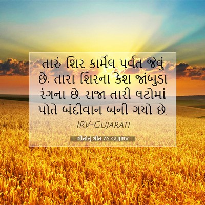 Picture 07 - ગીતોનું ગીત 7:5 GUJIRV - તારું શિર કાર્મેલ - Bible Verse Picture