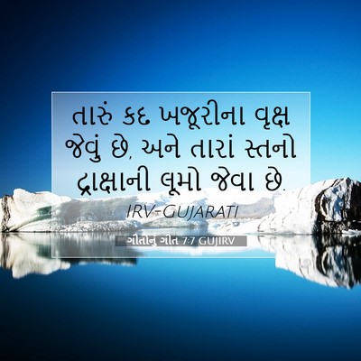 Picture 07 - ગીતોનું ગીત 7:7 GUJIRV - તારું કદ ખજૂરીના - Bible Verse Picture