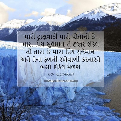 Picture 07 - ગીતોનું ગીત 8:12 GUJIRV - મારી દ્રાક્ષવાડી - Bible Verse Picture