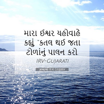 Picture 07 - ઝખાર્યા 11:4 GUJIRV - મારા ઈશ્વર - Bible Verse Picture