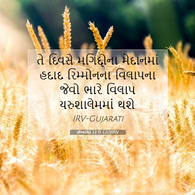 Picture 07 - ઝખાર્યા 12:11 GUJIRV - તે દિવસે - Bible Verse Picture
