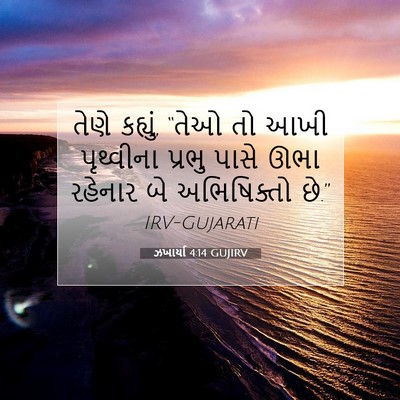 Picture 07 - ઝખાર્યા 4:14 GUJIRV - તેણે કહ્યું, “તેઓ - Bible Verse Picture