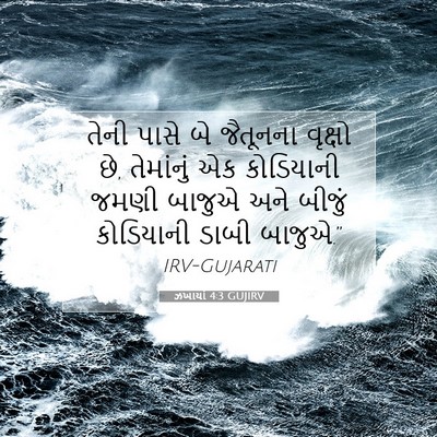 Picture 07 - ઝખાર્યા 4:3 GUJIRV - તેની પાસે બે - Bible Verse Picture