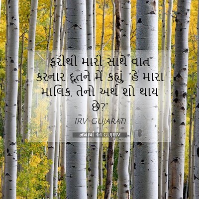 Picture 07 - ઝખાર્યા 4:4 GUJIRV - ફરીથી મારી સાથે - Bible Verse Picture