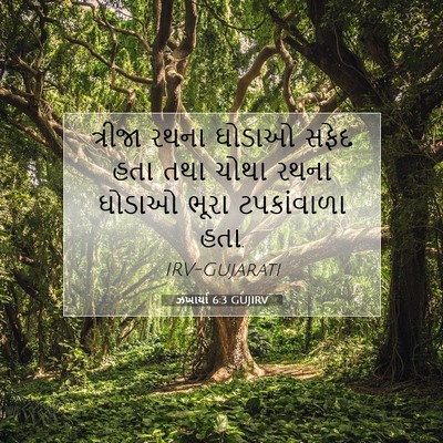 Picture 07 - ઝખાર્યા 6:3 GUJIRV - ત્રીજા રથના ઘોડાઓ - Bible Verse Picture