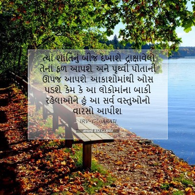 Picture 07 - ઝખાર્યા 8:12 GUJIRV - “ત્યાં શાંતિનું - Bible Verse Picture