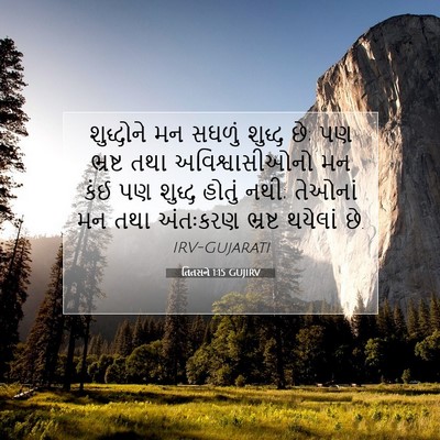 Picture 07 - તિતસને 1:15 GUJIRV - શુદ્ધોને મન સઘળું - Bible Verse Picture