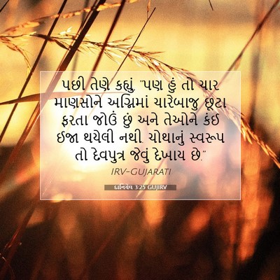 Picture 07 - દાનિયેલ 3:25 GUJIRV - પછી તેણે કહ્યું, - Bible Verse Picture