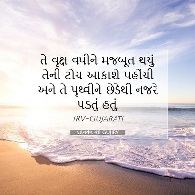 Picture 07 - દાનિયેલ 4:11 GUJIRV - તે વૃક્ષ વધીને - Bible Verse Picture