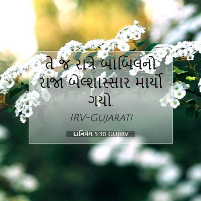 Picture 07 - દાનિયેલ 5:30 GUJIRV - તે જ રાત્રે - Bible Verse Picture
