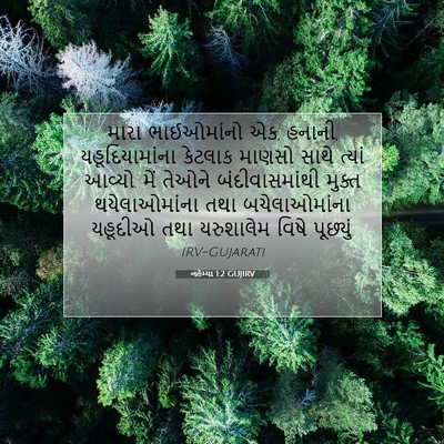 Picture 07 - નહેમ્યા 1:2 GUJIRV - મારા ભાઈઓમાંનો એક, - Bible Verse Picture