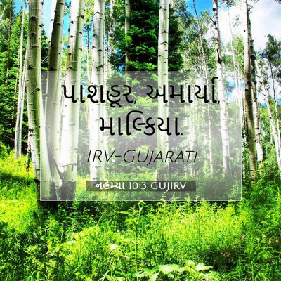 Picture 07 - નહેમ્યા 10:3 GUJIRV - પાશહૂર, અમાર્યા, - Bible Verse Picture