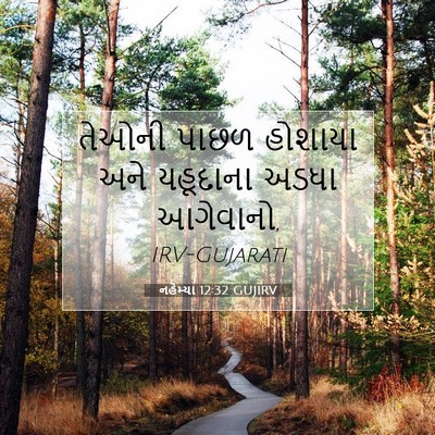 Picture 07 - નહેમ્યા 12:32 GUJIRV - તેઓની પાછળ હોશાયા - Bible Verse Picture