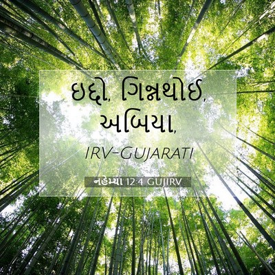 Picture 07 - નહેમ્યા 12:4 GUJIRV - ઇદ્દો, ગિન્નથોઈ, - Bible Verse Picture