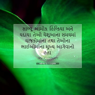 Picture 07 - નહેમ્યા 12:7 GUJIRV - સાલ્લૂ, આમોક, - Bible Verse Picture