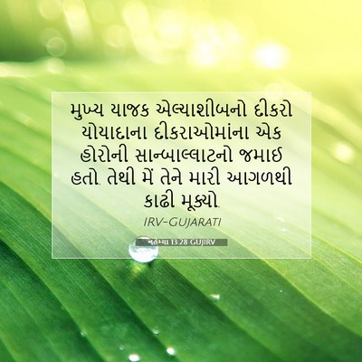 Picture 07 - નહેમ્યા 13:28 GUJIRV - મુખ્ય યાજક - Bible Verse Picture