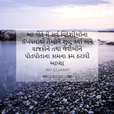 Picture 07 - નહેમ્યા 13:30 GUJIRV - આ રીતે મેં સર્વ - Bible Verse Picture