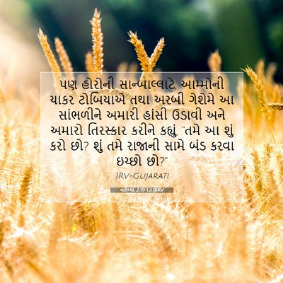 Picture 07 - નહેમ્યા 2:19 GUJIRV - પણ હોરોની - Bible Verse Picture