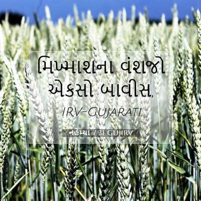 Picture 07 - નહેમ્યા 7:31 GUJIRV - મિખ્માશના વંશજો - Bible Verse Picture