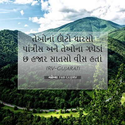 Picture 07 - નહેમ્યા 7:69 GUJIRV - તેઓનાં ઊંટો ચારસો - Bible Verse Picture
