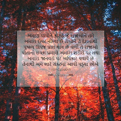 Picture 07 - નહેમ્યા 9:37 GUJIRV - અમારા પાપોને - Bible Verse Picture