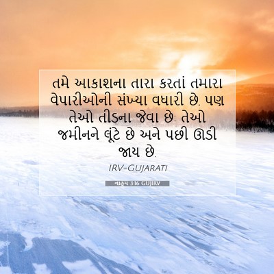 Picture 07 - નાહૂમ 3:16 GUJIRV - તમે આકાશના તારા - Bible Verse Picture