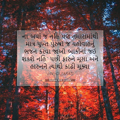 Picture 07 - નિર્ગમન 10:11 GUJIRV - ના, બધાં જ નહિ, પણ - Bible Verse Picture