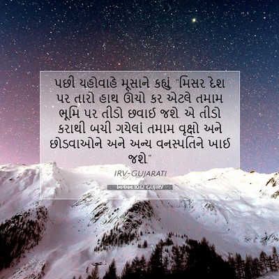 Picture 07 - નિર્ગમન 10:12 GUJIRV - પછી યહોવાહે - Bible Verse Picture