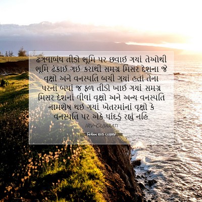 Picture 07 - નિર્ગમન 10:15 GUJIRV - ઢગલાબંધ તીડો ભૂમિ - Bible Verse Picture