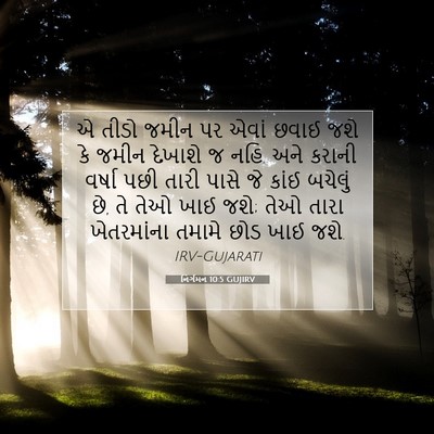 Picture 07 - નિર્ગમન 10:5 GUJIRV - એ તીડો જમીન પર એવાં - Bible Verse Picture