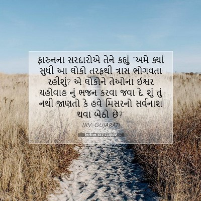 Picture 07 - નિર્ગમન 10:7 GUJIRV - ફારુનના સરદારોએ - Bible Verse Picture