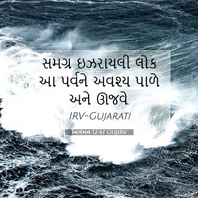 Picture 07 - નિર્ગમન 12:47 GUJIRV - સમગ્ર ઇઝરાયલી લોક - Bible Verse Picture