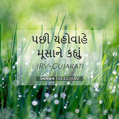 Picture 07 - નિર્ગમન 13:1 GUJIRV - પછી યહોવાહે - Bible Verse Picture